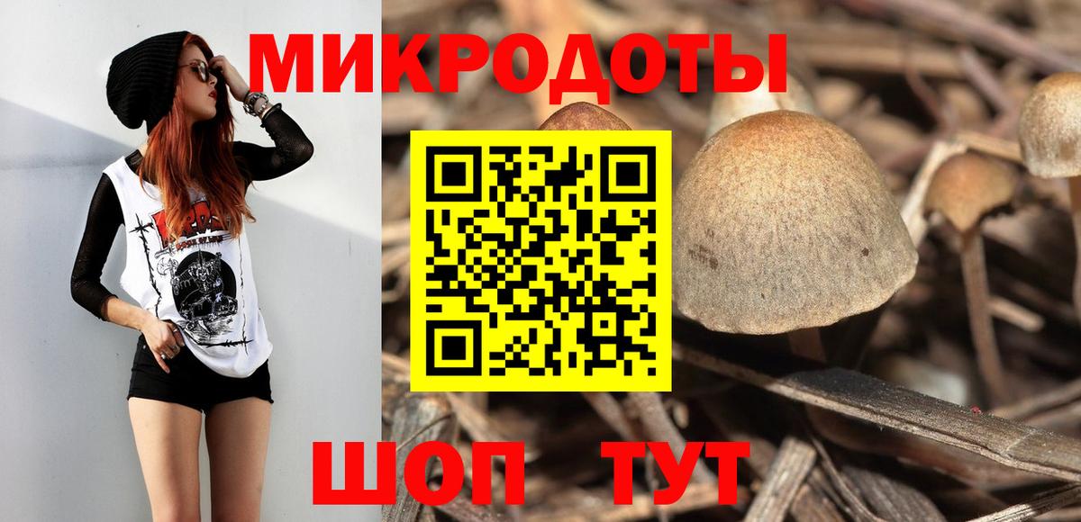Галлюциногенные грибы Cubensis  Вход с VPN  Галлюциногенные грибы мицелий  Электросталь 